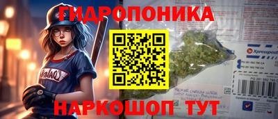 дурь Будённовск