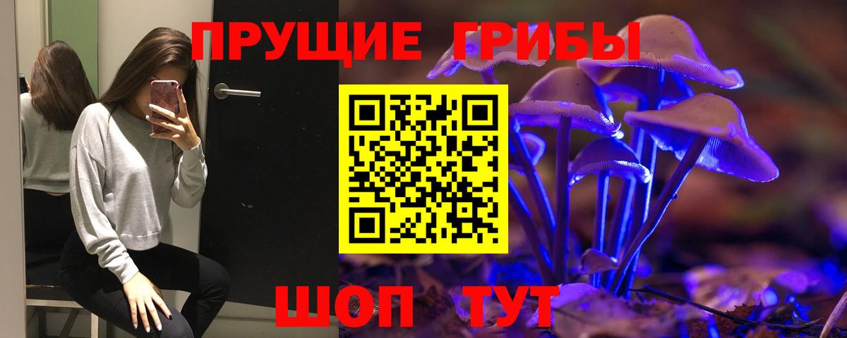 Псилоцибиновые грибы Psilocybe  Вход с VPN  Родники 